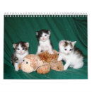 Buscar tigre calendarios Blanco