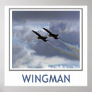 Buscar acrobacia posters Vuelo