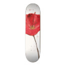 Buscar copia tablas de skate Extracto