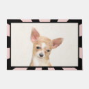 Buscar chihuahuas felpudos Cachorro