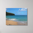 Buscar paisaje tropical lienzos Océano