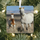 Buscar caballos salvajes adornos Caballo salvaje