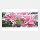 Buscar rosa estrella pegatinas Flores