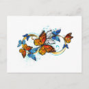 Buscar mariposa azul del morpho postales Colorido