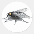 Buscar fly pegatinas Bugs