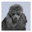 Buscar caniche negro posters Adorable