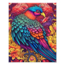 Buscar pájaros bonitos posters Para todos