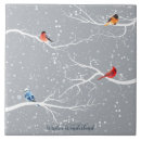 Buscar pájaro cardinal azulejos Nieve
