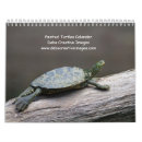 Buscar de la tortuga calendarios Vida silvestre