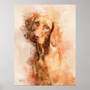Buscar vizsla arte Puntero hungría