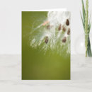 Buscar semillas del tarjetas Naturaleza