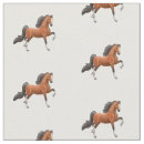 Buscar americano saddlebred Caballo que camina