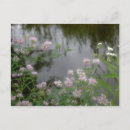 Buscar bro postales Flores