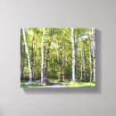 Buscar ramas de árbol lienzos Foto