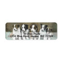 Buscar vintage puppies postales Perros