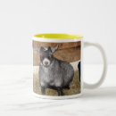 Buscar enano tazas Animal