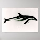 Buscar colección arte Litografía
