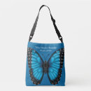 Buscar morpho azul Insecto