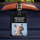 Buscar french bulldog etiquetas para maletas Young animal
