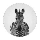 Buscar utensilios cocina Blanco y negro