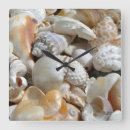 Buscar conchas relojes de pared Para todos
