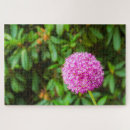 Buscar fucsia puzzles Naturaleza