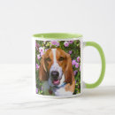Buscar afloramiento tazas Perrito