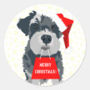 Buscar mini schnauzer pegatinas Navidades