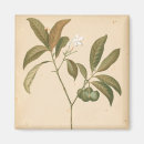Buscar deco imanes Paneles