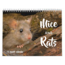 Buscar rat fotografía Naturaleza