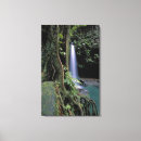 Buscar dominic lienzos Selva tropical