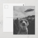 Buscar selfies postales General y unisex