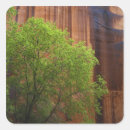 Buscar grand canyon pegatinas Naturaleza