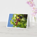 Buscar uvas verdes tarjetas Alimento