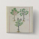 Buscar medicinal chapas Décimo quinto