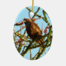 Buscar cola roja adornos Pájaro