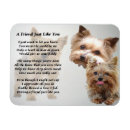 Buscar yorkshire imanes Yorkie