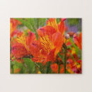 Buscar peruano puzzles Flor