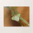 Buscar biología puzzles Fondo