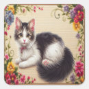 Buscar bobtail postales Felino