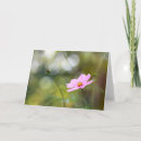 Buscar cosmo rosado tarjetas Cosmos