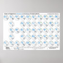 Buscar katakanas posters Hiragana