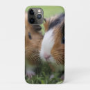 Buscar bebés iphone fundas Animal