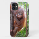 Buscar orangutan iphone fundas Animal