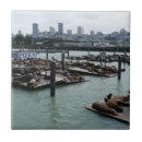 Buscar esquinas azulejos General y unisex