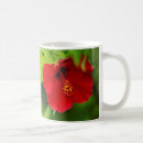 Buscar flores hawaianas tazas Hawaii