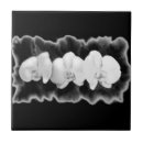 Buscar orquídea azulejos Elegante