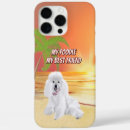 Buscar caniche iphone fundas Perro