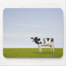 Buscar holstein alfombrillas de raton Al aire libre