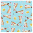 Buscar summer telas Para todos